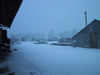 Yard In Snow 1