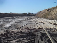 Unfinished Ponderosa Pine Flooring