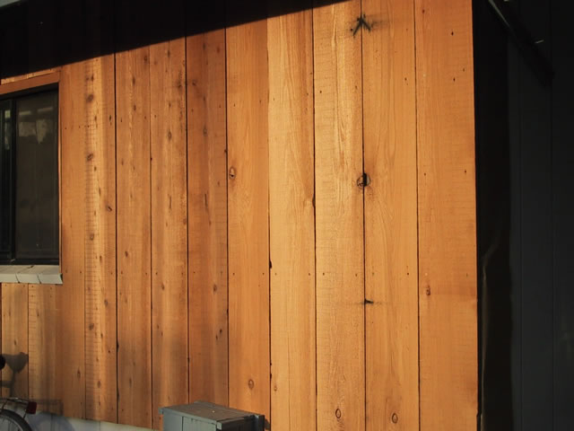 Cedar Siding