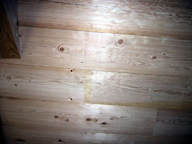 Western Hemlock Paneling