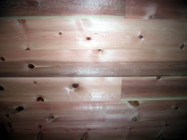 Ponderosa Pine Paneling